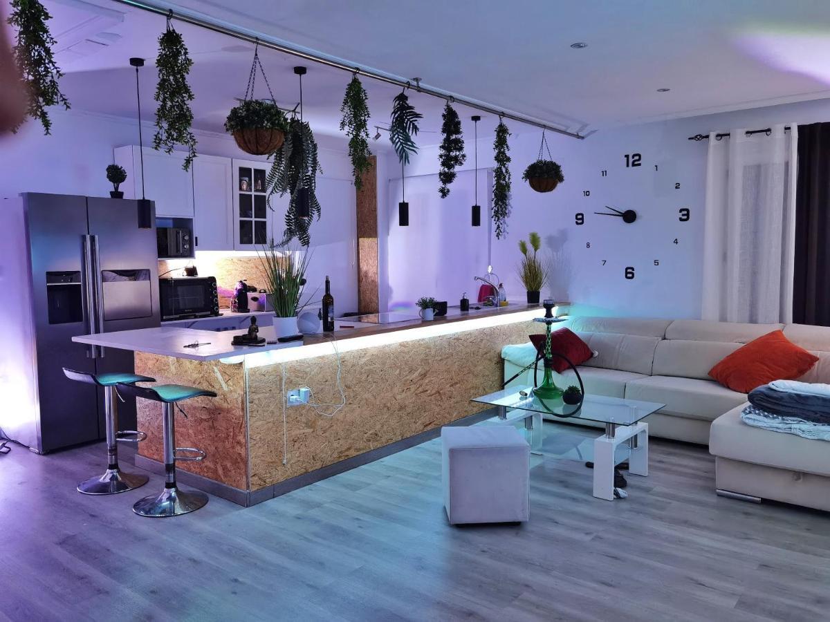 Stag Hendo25Pax Only 10Min To The Party Area Despedidas 25Pax 10 Min De La Zona De Fiesta Consultar Precio Benidorm Luaran gambar
